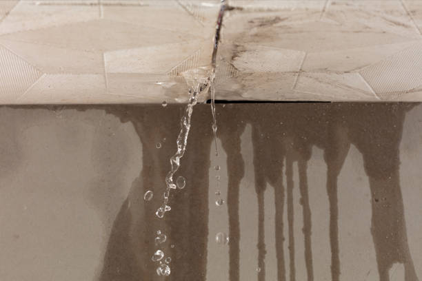 Professional Structural Drying technician working in Trinity, TX